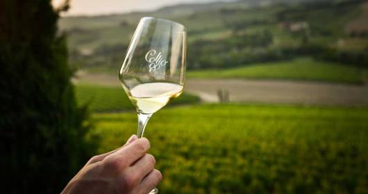 CONSORZIO DOC COLLIO REDUCES BY 20% ALL THE YIELD OF THE VINES DISCIPLINED BY DOC COLLIO