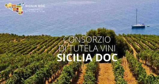 Harvest Consortium for the protection of Sicily Doc wines forecasts 2020 a good year