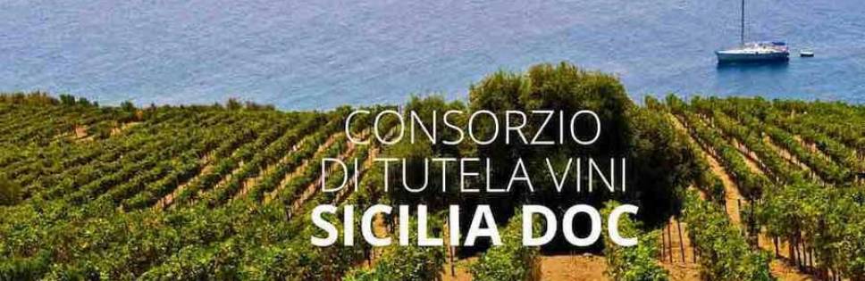 Harvest Consortium for the protection of Sicily Doc wines forecasts 2020 a good year
