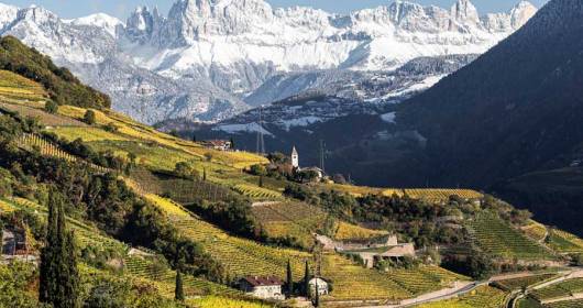 FROM NORTH TO SOUTH 6,000 KM 8 CITIES 16 SEMINARS AND 80 LABELS FOR TASTING DISCOVERING THE WINE EXCELLENCES OF SOUTH TYROL