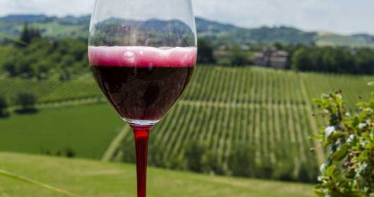The Lambrusco Protection Consortium is officially born