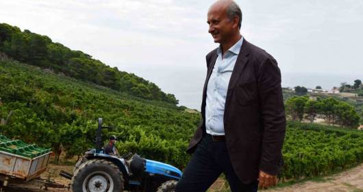 HARVEST OF ESTATE FRESCOBALDI TOLD ONE BY ONE