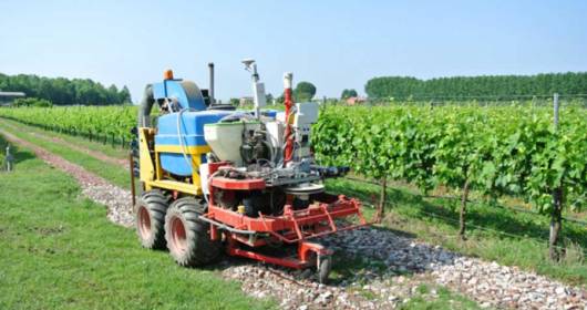 With the applications of robotics, the future in vineyards will be easier and safer