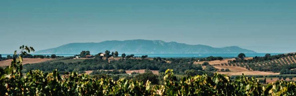 Red Morellino. Wine tourism and sustainability at the center of the 2021 edition