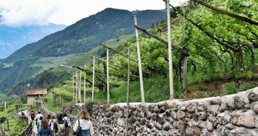 Trentino, from 14 to 16 May the second weekend of Gemme di gusto.