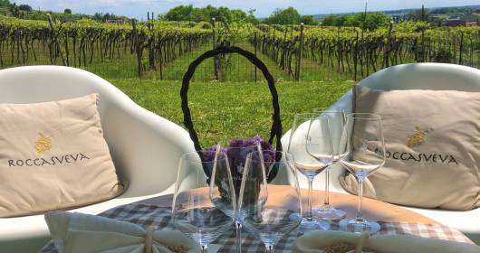 Wine tourism starts again in Rocca Sveva