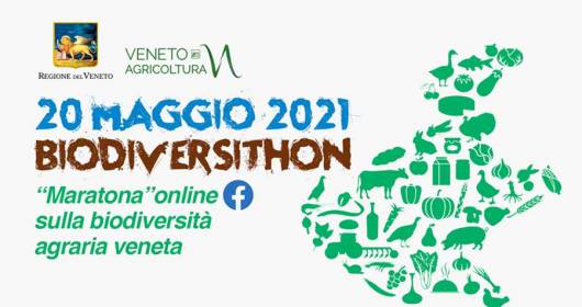 BIODIVERSITHON 2021, THE GREAT VENETIAN MARATHON FOR THE SAFEGUARD OF AGRICULTURAL BIODIVERSITY