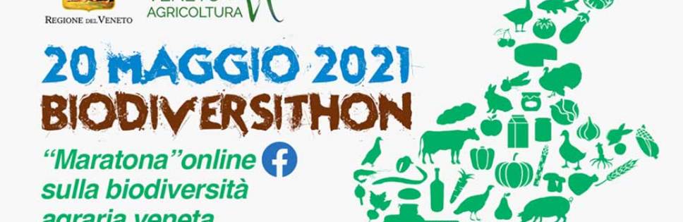 BIODIVERSITHON 2021, THE GREAT VENETIAN MARATHON FOR THE SAFEGUARD OF AGRICULTURAL BIODIVERSITY
