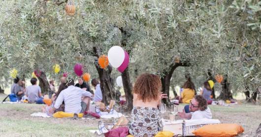Terre Giunchi in the hills of Cesena launches Dusk, the picnic at 'km home'
