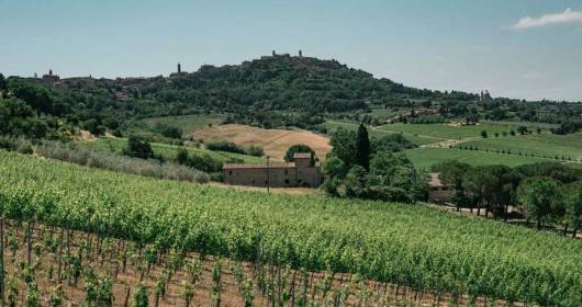 Fattoria della Talosa: in the new “Pievi” the excellence of the Vino Nobile di Montepulciano
