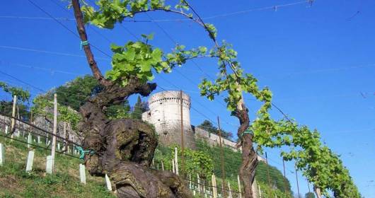 Visit Brescia - Sweet Autumn among the vineyards of the province of Brescia