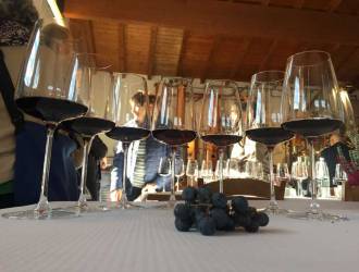 Trentino, with DiVin Ottobre the Wine and Flavors Route welcomes autumn