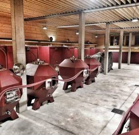 Bentu Luna is an Emerging Winery 2022 for Gambero Rosso
