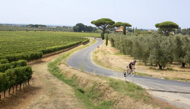 Italian wine tourism restarts with Wine Destinations Italia
