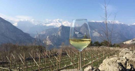 Trentino and Sicily meet on the Wine and Flavors Route