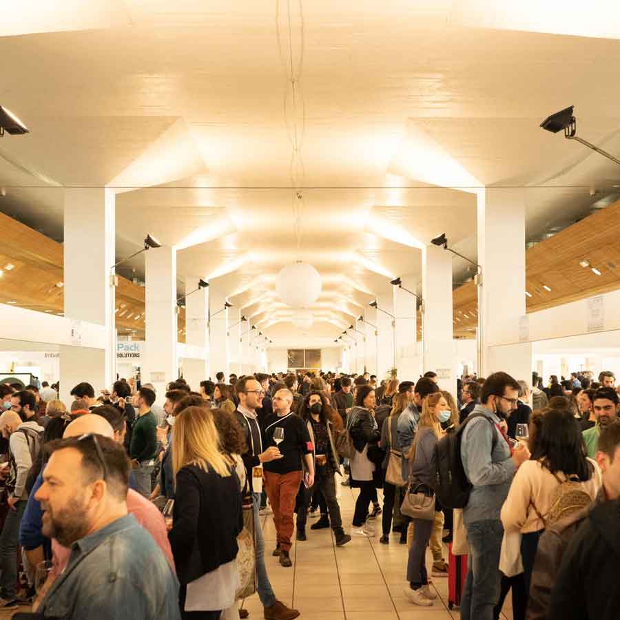 Vinifera in Trento: the spring of wine has arrived