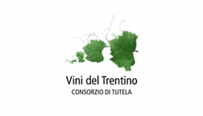 Vinitaly 2023: the Consorzio Vini del Trentino coordinates the Trentino pavilion