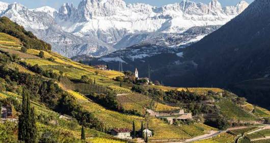 WINE TRIPS IN SOUTH TYROL