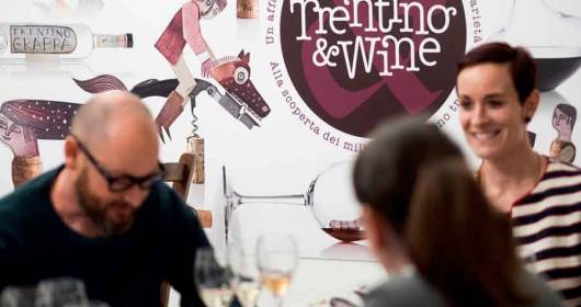 Trentino & Wine: wine and its territory