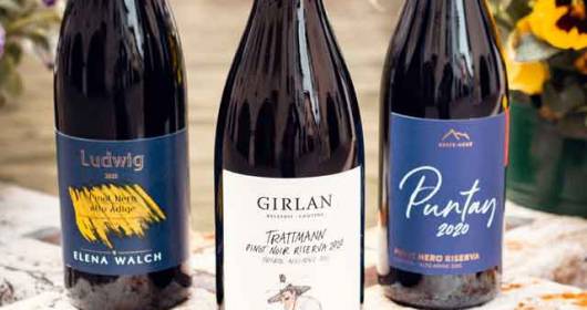 THE WINNERS OF THE NATIONAL PINOT NOIR OF THE 2020 VINTAGE ANNOUNCED: A TOP 3 THAT AWARDS SOUTH TYROLEAN QUALITY AND A REGIONAL RANKING THAT HIGHLIGHTS THE STYLISTIC VERSATILITY OF THIS EXTRAORDINARY VINE