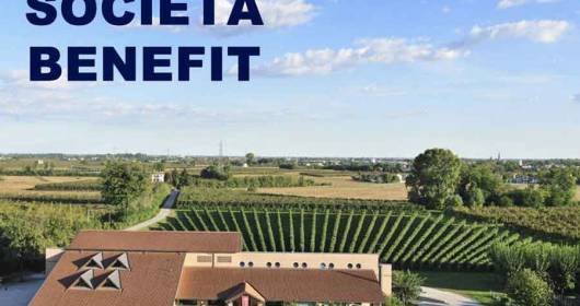 Making wine in a shared and inclusive way: Cecchetto becomes a Benefit Company