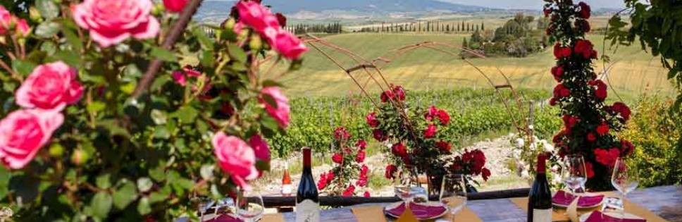 Wine and tourism in Alta Maremma: Gianni Moscardini opens its doors to wine enthusiasts