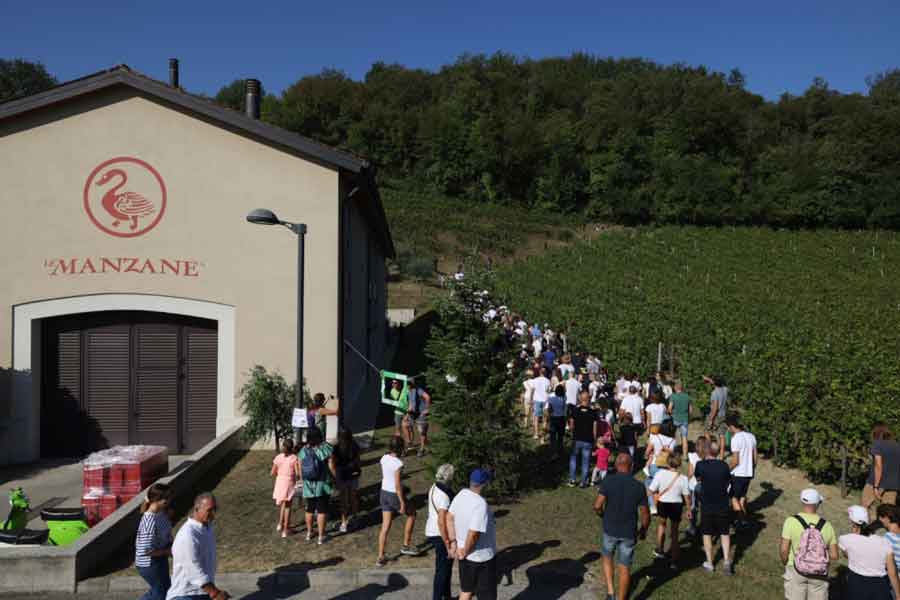 Le Manzane: success for the 12th edition of the Solidarity Harvest with Luca Zaia, Kristian Ghedina and Lele Marcassa