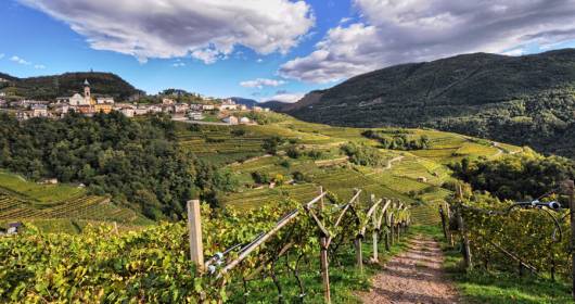DOLO-VINI-MITI, from 6 to 8 October the vertical wine festival in Val di Cembra