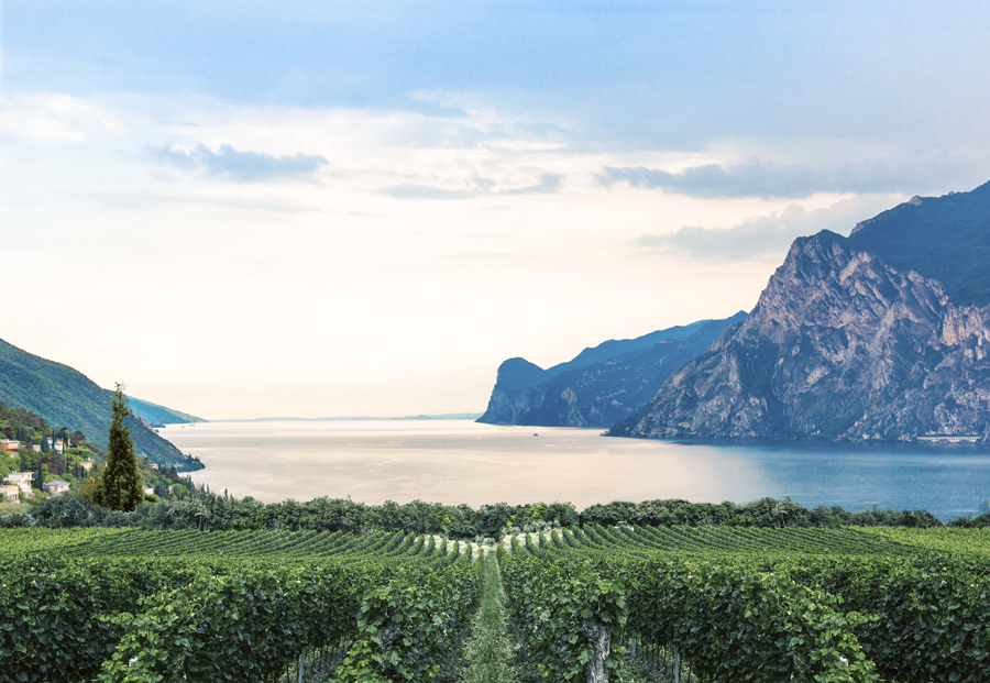 ANUGA 2023, THE GARDA DOC CONSORTIUM PARTICIPATES IN THE GREAT FOOD&BEVERAGE FAIR IN COLOGNE