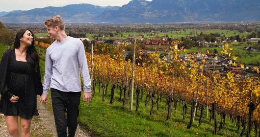 Discover the Italian Wine Routes in Autumn!