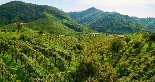 Exploring the Charm of the Wine Estates in the UNESCO Hills of Conegliano Valdobbiadene