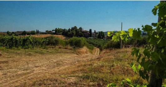 Tuscany: Farm of approximately 120 hectares!