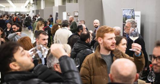 Cesena in Bolla: 900 labels and 156 top wineries at the Fair