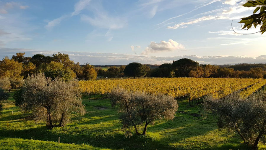 UMBRIA TOP FLIES TO FRANCE FOR WINE PARIS & VINEXPO
