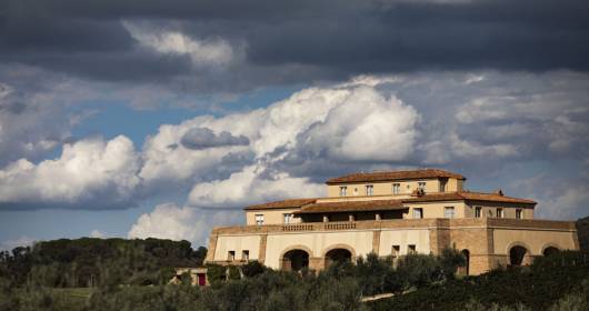 Argentiera Ambassadors: the evolution of the wine club that strengthens the bond with visitors