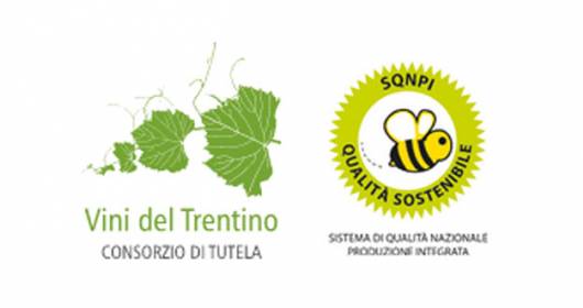 Consorzio Vini del Trentino present at ProWein 2024: previews and news