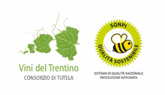 Consorzio Vini del Trentino present at ProWein 2024: previews and news