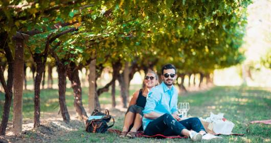 Discovering the Terradeiforti: wine tourism according to Roeno