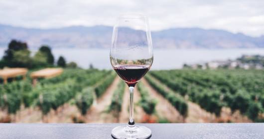 MINDFUL DRINKING: THE NEW FRONTIER OF WINE