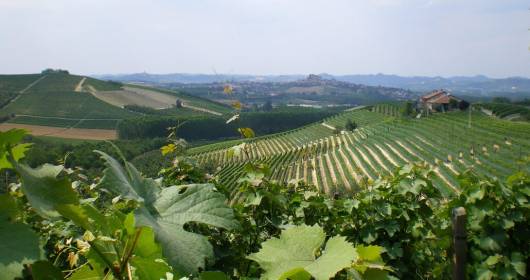 Vinarius presents “Oltrepò Wine Experience”