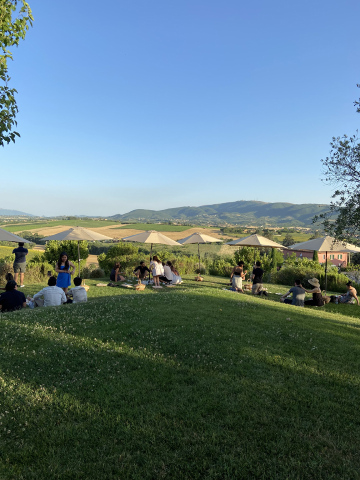 MTV UMBRIA PRESENTS OPEN WINERIES 2025: 44 WINERIES READY TO WELCOME VISITORS