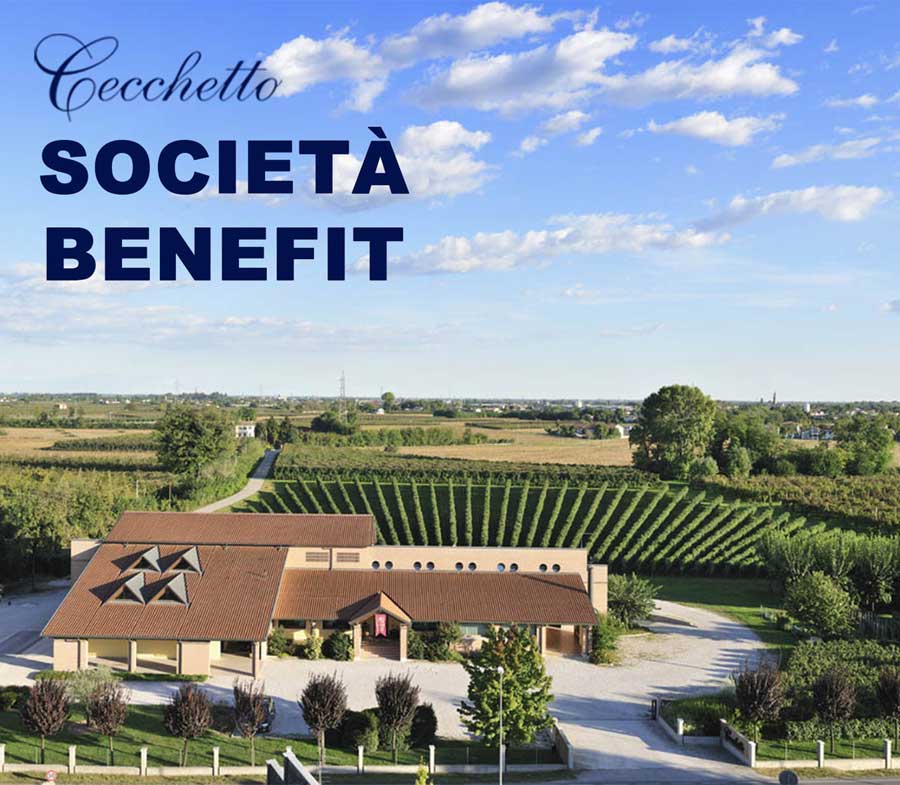 Cecchetto: The inclusive harvest with AIPD opens to the public with fun, creativity, and sustainability.