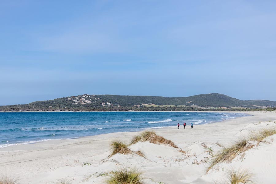Sardinia, "Passi di Gusto" returns among Weekend Walks: four days of walking among flavors, wine, and landscapes.