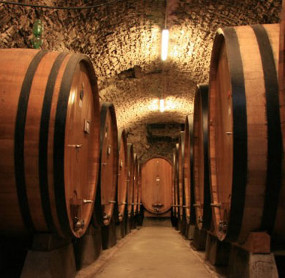 CARPINETO opens to the public every day its most emblematic estate and where the Nobile is produced, the iconic wine present at OPERA WINE on Saturday 19th